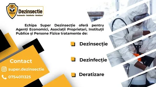 Dezinfectie - dezinsectie si deratizare - Ilfov si Bucuresti