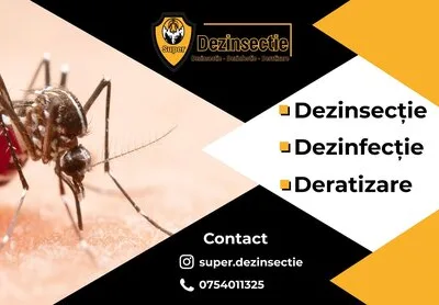Dezinfectie - dezinsectie si deratizare - Ilfov si Bucuresti