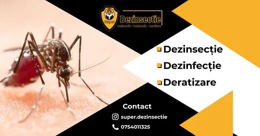 Dezinfectie - dezinsectie si deratizare - Ilfov si Bucuresti