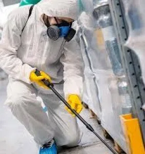 Servicii de deratizare - dezinsectie si dezinfectie in Bucuresti