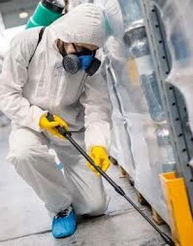 Servicii de deratizare - dezinsectie si dezinfectie in Bucuresti