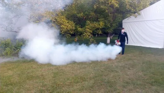 Prestare Servicii dezinsectie - dezinfectie si deratizare Ilfov