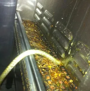 Prestare Servicii dezinsectie - dezinfectie si deratizare Ilfov