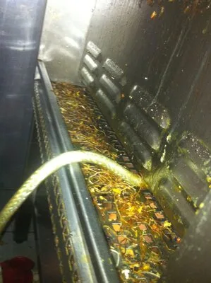 Prestare Servicii dezinsectie - dezinfectie si deratizare Ilfov