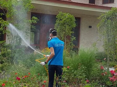 Prestare Servicii dezinsectie - dezinfectie si deratizare Ilfov