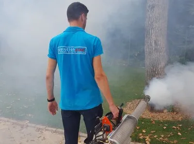 Prestare Servicii dezinsectie - dezinfectie si deratizare Ilfov