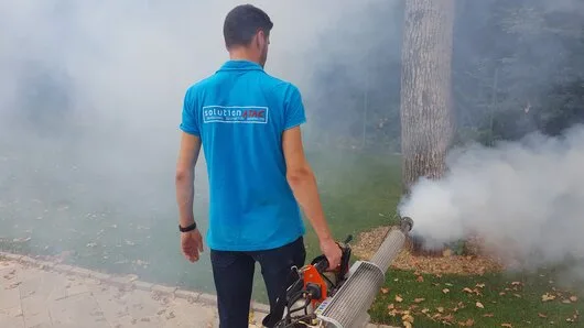 Prestare Servicii dezinsectie - dezinfectie si deratizare Ilfov