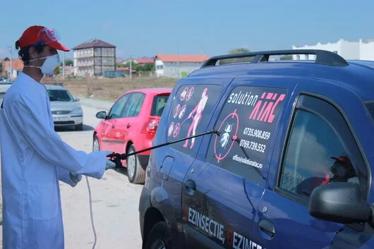 Prestare Servicii dezinsectie - dezinfectie si deratizare Ilfov