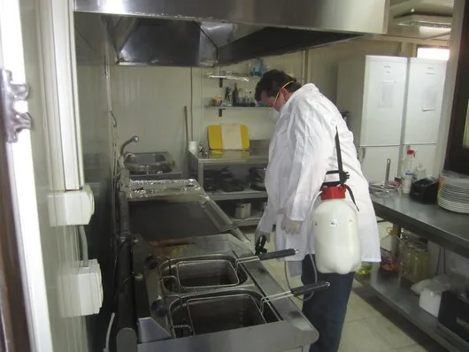 Prestare Servicii dezinsectie - dezinfectie si deratizare Ilfov