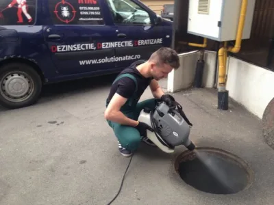Prestare Servicii dezinsectie - dezinfectie si deratizare Ilfov
