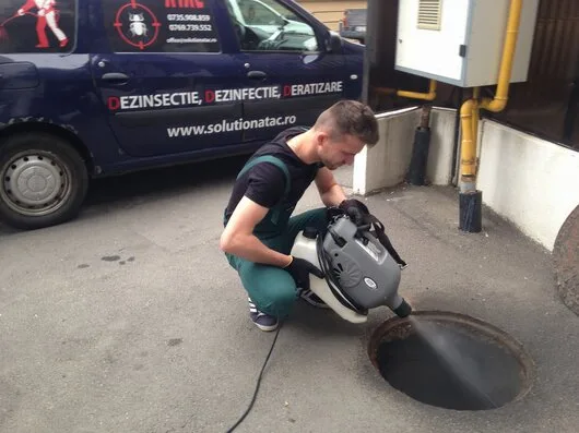 Prestare Servicii dezinsectie - dezinfectie si deratizare Ilfov