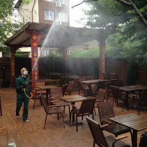 Prestare Servicii dezinsectie - dezinfectie si deratizare Ilfov