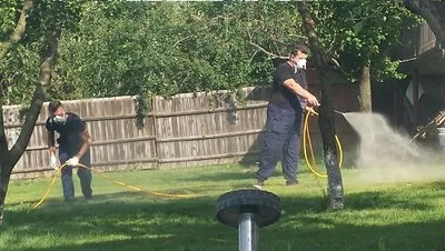 Prestare Servicii dezinsectie - dezinfectie si deratizare Ilfov