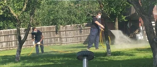 Prestare Servicii dezinsectie - dezinfectie si deratizare Ilfov