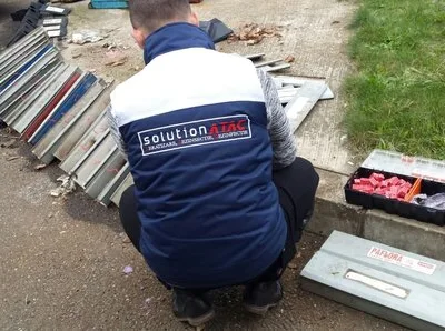 Prestare Servicii dezinsectie - dezinfectie si deratizare Ilfov