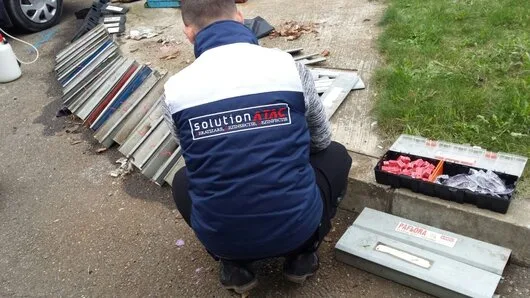 Prestare Servicii dezinsectie - dezinfectie si deratizare Ilfov