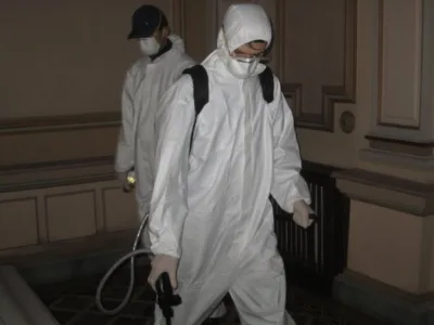 Prestare Servicii dezinsectie - dezinfectie si deratizare Ilfov