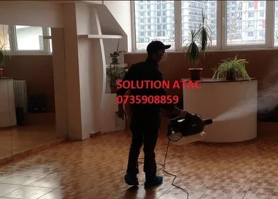 Prestare Servicii dezinsectie - dezinfectie si deratizare Ilfov