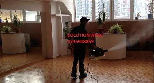 Prestare Servicii dezinsectie - dezinfectie si deratizare Ilfov