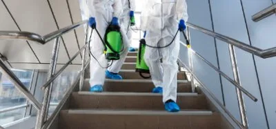 Dezinsectie - dezinfectie - deratizare - Bucuresti