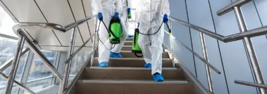 Dezinsectie - dezinfectie - deratizare - Bucuresti