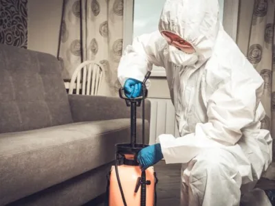 Dezinsectie - dezinfectie - deratizare - Bucuresti