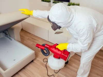 Dezinsectie - dezinfectie - deratizare - Bucuresti