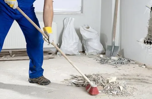 Deratizare - dezinsectie - dezinfectie si curatenie profesionala - Bucuresti