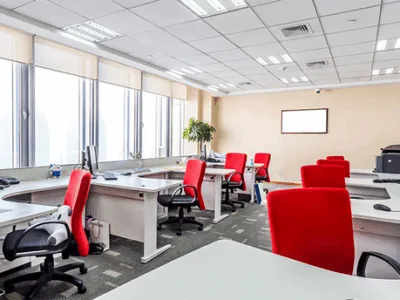 Deratizare - dezinsectie - dezinfectie si curatenie profesionala - Bucuresti