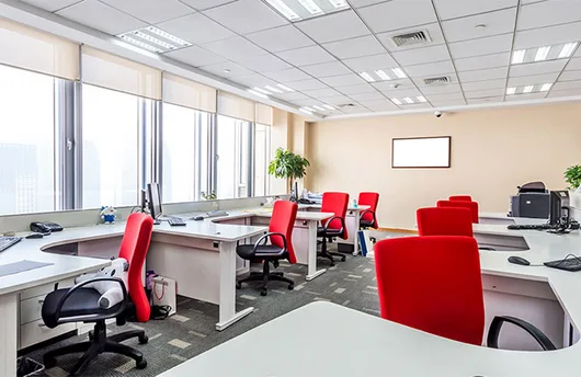 Deratizare - dezinsectie - dezinfectie si curatenie profesionala - Bucuresti