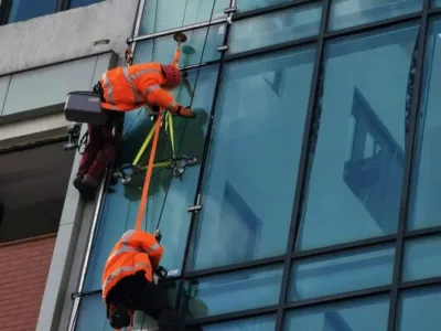 Deratizare - dezinsectie - dezinfectie si curatenie profesionala - Bucuresti