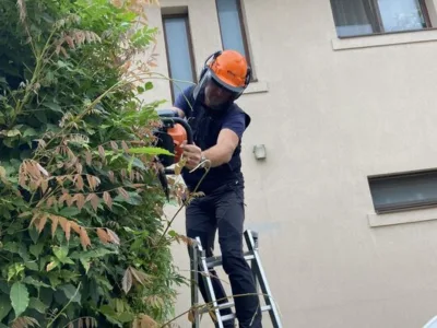 Companie de peisagistica - Bucuresti si Ilfov