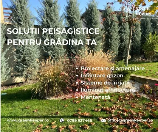 Companie de peisagistica - Bucuresti si Ilfov