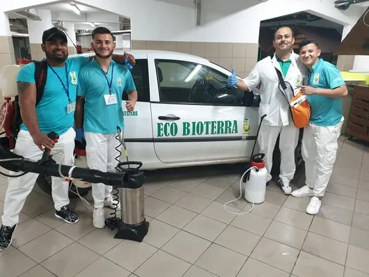 Deratizare - dezinfectie - dezinsectie - Bucuresti si Ilfov