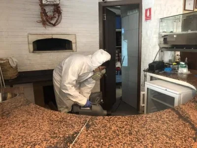 Deratizare - dezinfectie - dezinsectie - Bucuresti si Ilfov