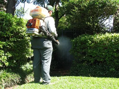 Deratizare - dezinfectie - dezinsectie - Bucuresti si Ilfov