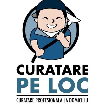 Curatare canapele - saltele - covoare Bucuresti