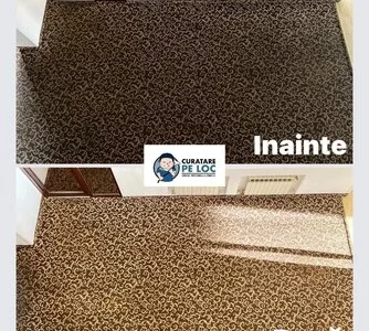 Curatare canapele - saltele - covoare Bucuresti