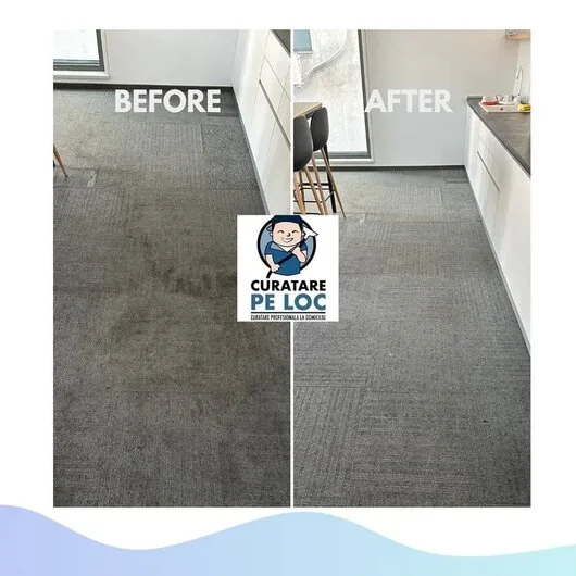 Curatare canapele - saltele - covoare Bucuresti