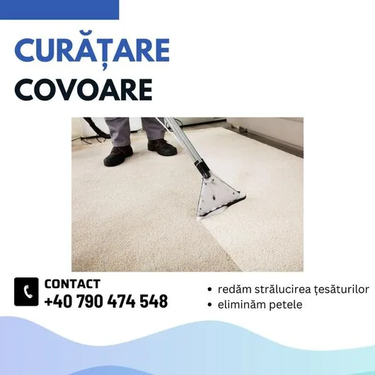 Curatare canapele - saltele - covoare Bucuresti