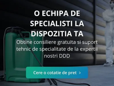 Dezinfectie - deratizare si dezinsectie - Bucuresti