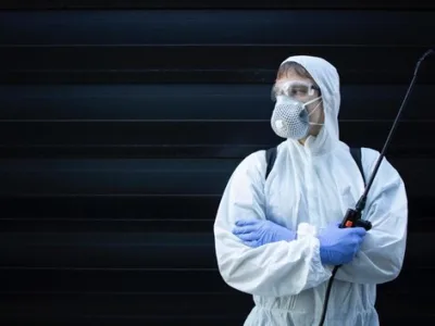 Dezinfectie - deratizare si dezinsectie - Bucuresti