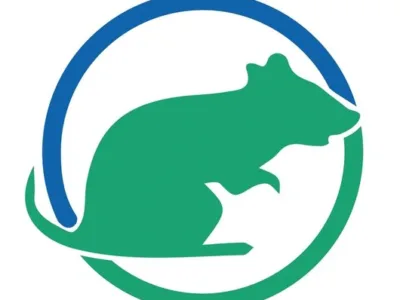 Dezinfectie - deratizare si dezinsectie - Bucuresti