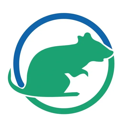 Dezinfectie - deratizare si dezinsectie - Bucuresti