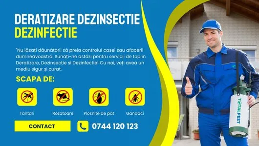 Dezinfectie - deratizare si dezinsectie - Bucuresti