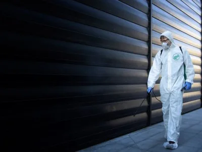 Dezinfectie - deratizare si dezinsectie - Bucuresti