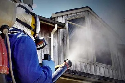 Dezinsectie - Deratizare si Dezinfectie Bucuresti - Ilfov