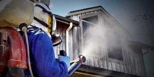 Dezinsectie - Deratizare si Dezinfectie Bucuresti - Ilfov