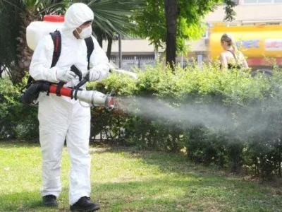 Dezinsectie - Deratizare si Dezinfectie Bucuresti - Ilfov