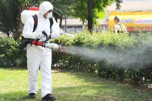 Dezinsectie - Deratizare si Dezinfectie Bucuresti - Ilfov